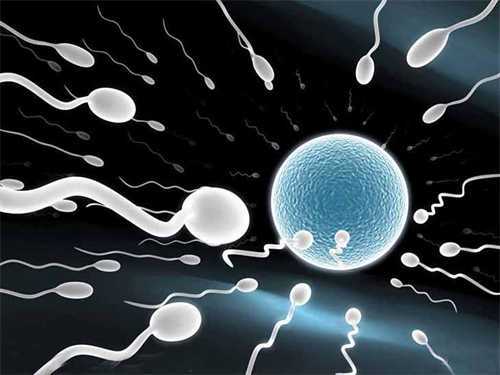 严重弱精症做试管婴儿成功率如何？有弱精症的试管宝宝健康吗插图