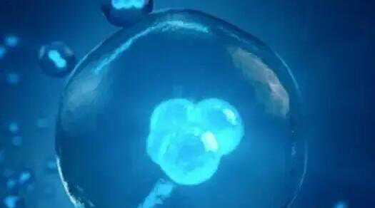 长春三代试管医院生男孩排行榜？附详细成功率？插图