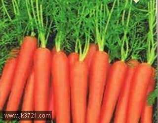 影响怀孕的6大食物插图1