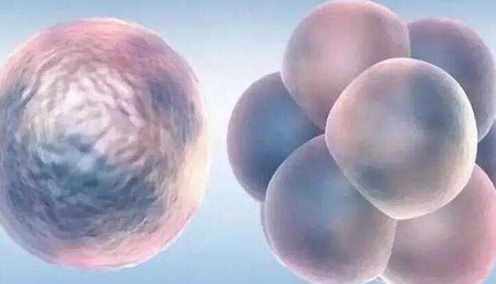 想生男孩可以做第三代试管婴儿吗？附三代生男孩费用插图1
