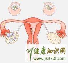 女性不排卵是怎么回事不排卵检测有方法插图