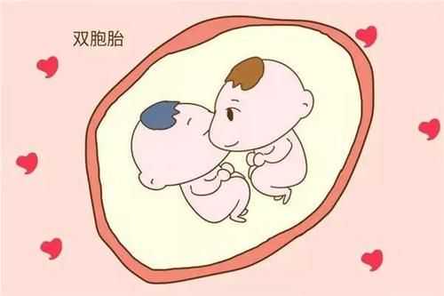 试管婴儿为什么不建议要双胞胎插图