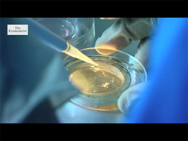 河南省妇幼试管婴儿成功率有多高？整理河南省妇幼保健院试管成功案例插图1