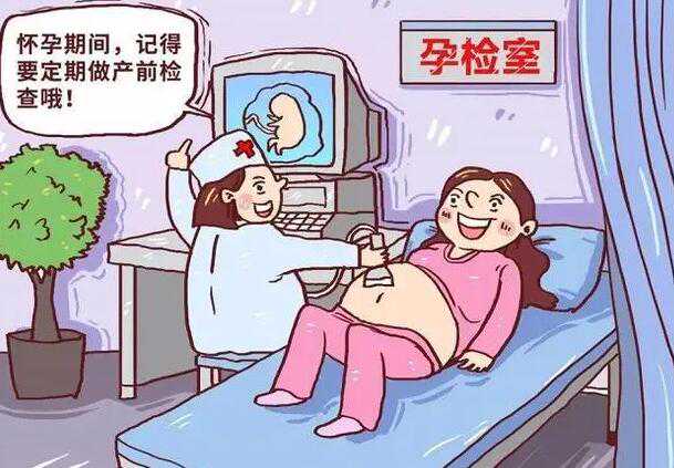 nt单子上有男女标志是真的吗？如何用nt判断生男生女？插图1