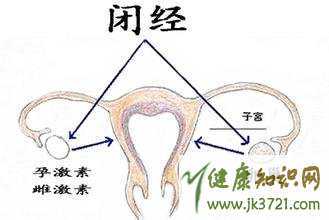 女性闭经的四大危害闭经该如何预防插图1 女性闭经的四大危害闭经该如何预防插图1