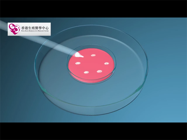 武汉公立医院试管婴儿费用多少？附武汉试管婴儿医院排名插图