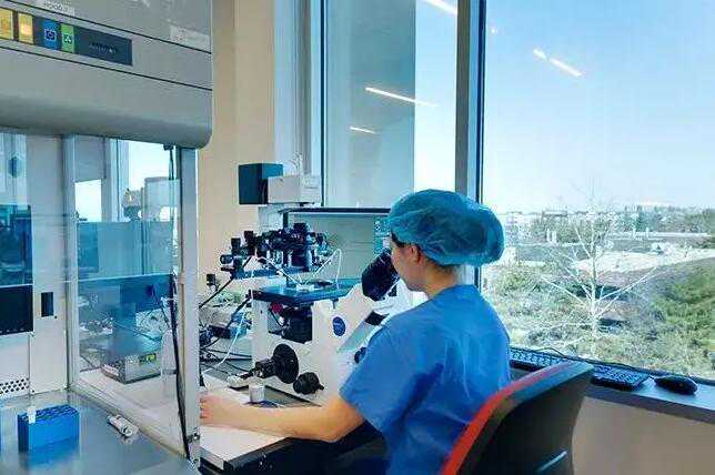 济南三代试管婴儿医院生男孩排名？附详细成功率？插图2