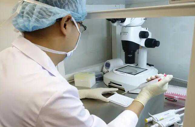 做试管婴儿男孩几率大吗？几率有多少？插图2