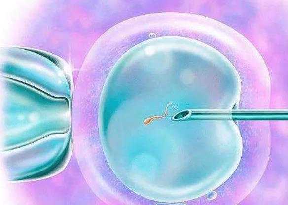 为什么试管一级胚胎不养囊？适合养囊的胚胎有哪几类插图