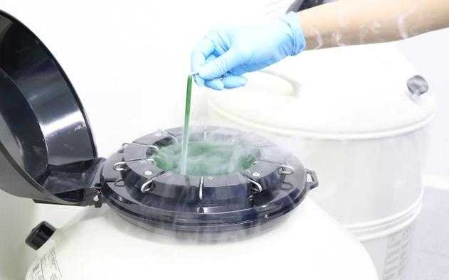 试管婴儿取卵后怎么预防腹水？汇总取卵后腹水的注意事项插图1
