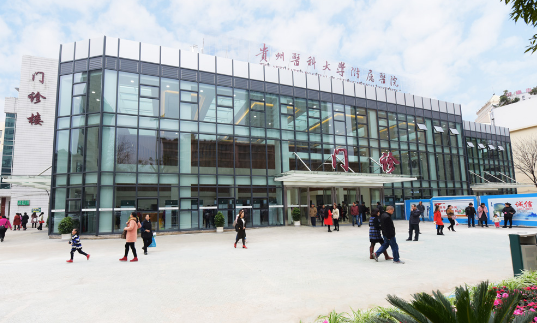 贵州医科大学附属医院试管婴儿怎么样插图