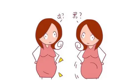 小方法知道自己怀的男孩女孩？附看胎儿性别方法插图