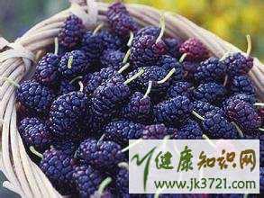 宝宝能吃桑葚吗宝宝吃桑葚有什么好处插图2