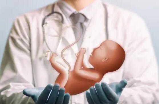 做个试管男婴儿要多少钱？做试管男婴贵吗？插图