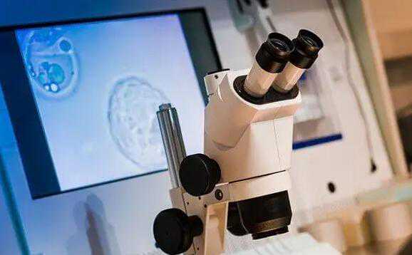 试管怎样才能生男孩？需要用到什么试管婴儿技术？插图1