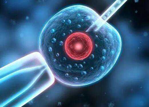 济南妇幼保健院三代试管生男孩多少钱？附详细费用成功率？插图1