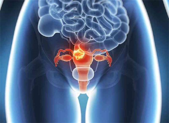 女性没有子宫能不能试管助孕？没有子宫怎么拥有自己的孩子插图
