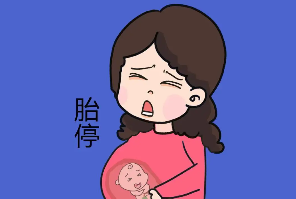 胎停前其实有暗示信号是真的吗？胎停前有什么感觉？插图2