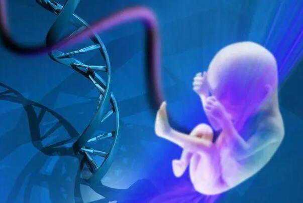 嘉兴妇幼保健院三代试管生男孩费用？附全流程详情？插图