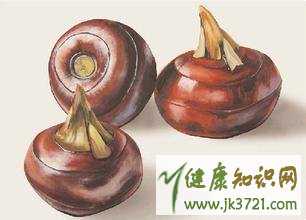 宝宝怎么吃荸荠最有营养宝宝吃荸荠的做法插图