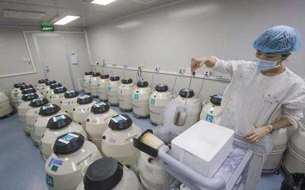 重庆三代试管包生男孩要多少钱？重庆试管包男孩费用插图