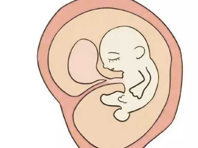 孕康颗粒和保胎灵片哪个好？两种药保胎效果对比插图