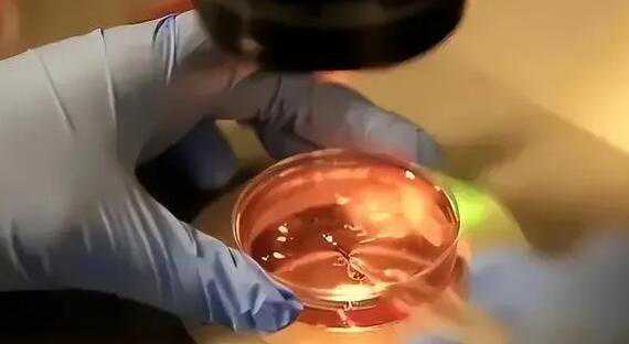 海口供卵试管包男孩多少钱？附试管医院排名？插图1