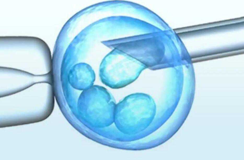 人工授精想生男宝可以吗？生男宝的诀窍有哪些？插图2
