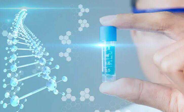 试管选性别是会破坏胚胎吗？做性别筛选对胚胎的影响插图1