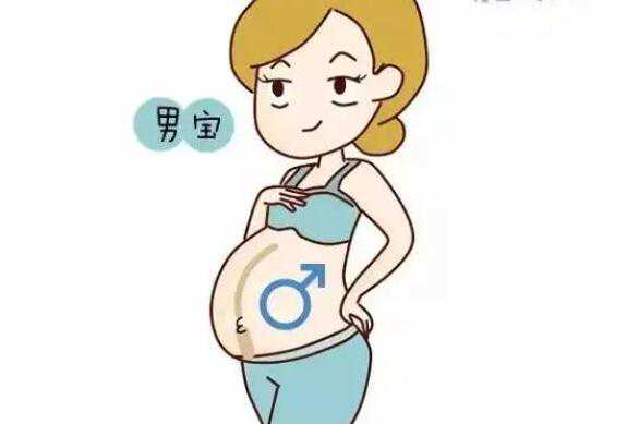 三代试管包生男孩多少钱？花10万块能包成功吗？插图