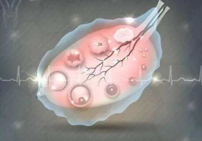 试管婴儿取卵几个成功率高？试管婴儿最少取卵几个插图1