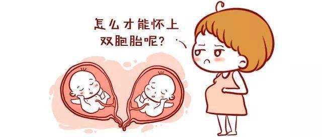 为什么试管婴儿怀双胞胎的几率高插图1
