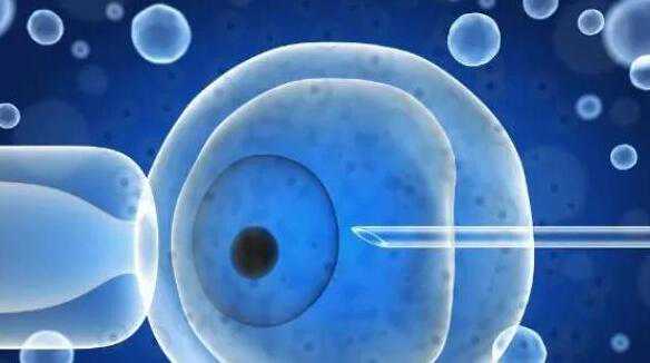 2024海南医学院第一附属医院试管婴儿生男孩费用？附详细成功率？插图1