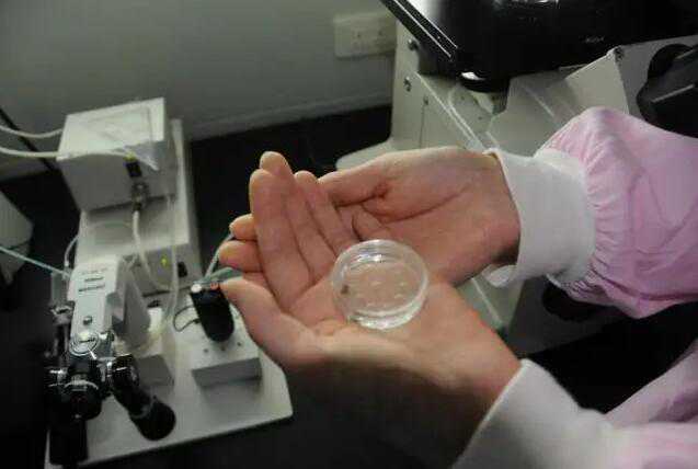 济南三代试管包生男孩多少钱？济南试管婴儿生男孩费用插图2