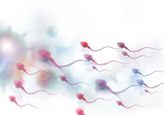 精子成活率低的原因一般有哪些呢?插图