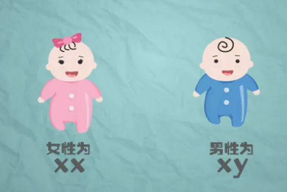 生男生女顺口溜是什么？判断生男生女的俗话插图1