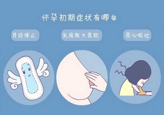 怀孕初期症状插图 怀孕初期症状插图