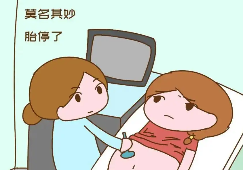 胎停前其实有暗示信号是真的吗？胎停前有什么感觉？插图
