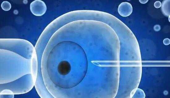 宜昌第一人民医院三代试管生男孩费用？成功率多少？插图