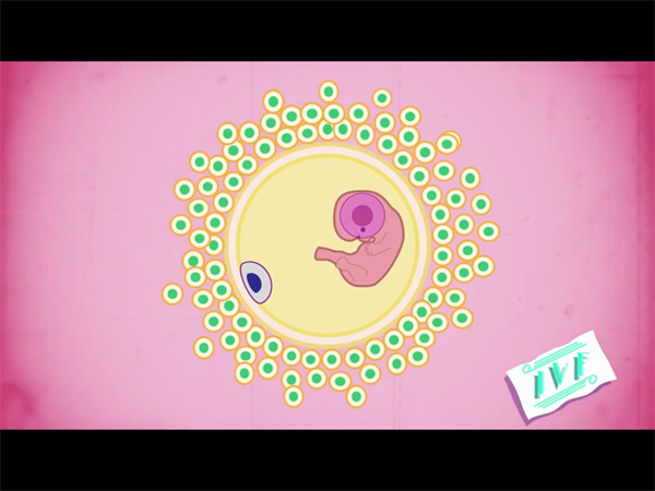 做试管婴儿为什么一级胚胎不养囊？盘点适合养囊的胚胎插图1