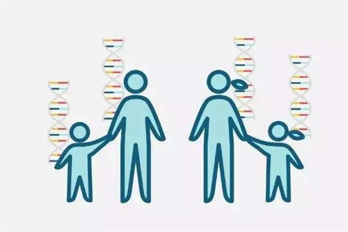 囊胚移植对子宫内膜有没有要求？什么样的子宫内膜适合试管胚胎移植插图