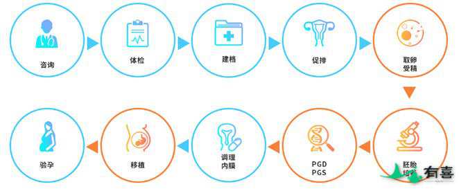 2020泰国试管婴儿全流程实用攻略插图 2020泰国试管婴儿全流程实用攻略插图