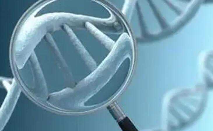 想要女孩是不是可以做试管？试管婴儿生女孩费用？插图1