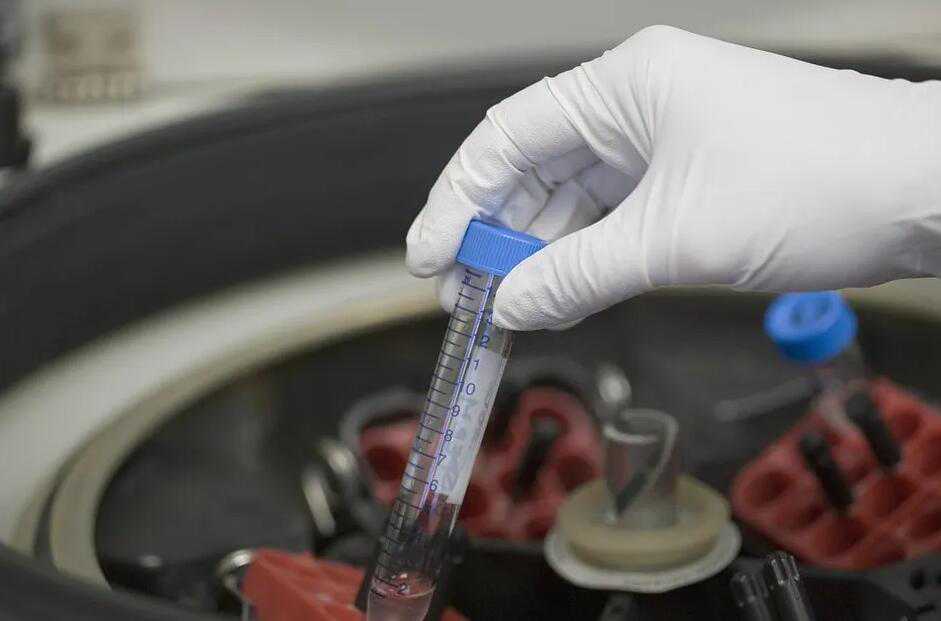 深圳三代试管选性别医院排名？附详细试管适应症？插图1