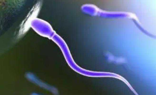 国内三代试管精子分离术生男孩价格大概多少钱？10万的费用够吗？插图1