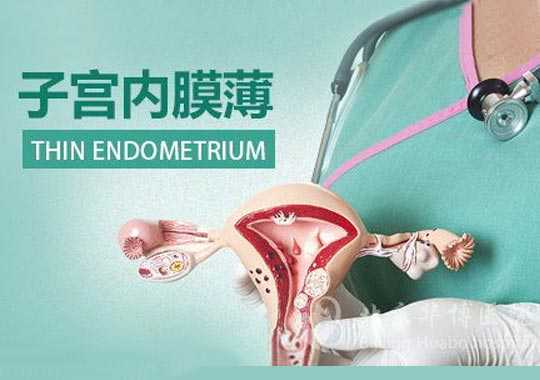 如何应对子宫内膜薄？插图