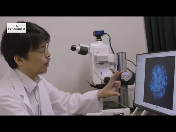 试管移植后他克莫司得吃几周？附移植吃他克莫司的注意事项插图1