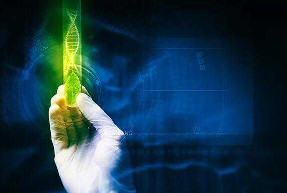 呼和浩特做试管生男孩费用高吗？去呼和浩特试管生男孩多少钱？插图1