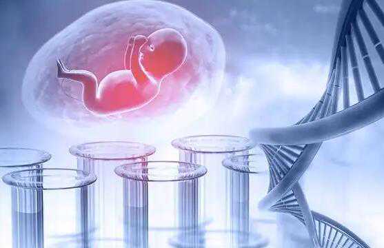第三代人工授精性别选择价格多少钱？附费用明细？插图