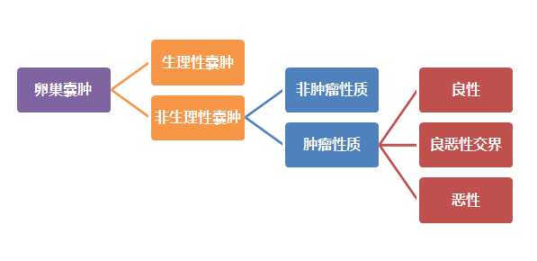 卵巢囊肿(ovariancysts)插图1